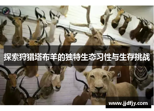 探索狩猎塔布羊的独特生态习性与生存挑战